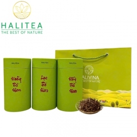 Set Quà Tặng - 10 Loại Trà Shan Tuyết HALITEA Thượng Hạng Lon Xanh