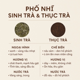 Trà Phổ Nhĩ Là Gì? Phân Biệt Trà Sống – Chín, Hiểu Đúng Bản Chất – Chọn Đúng Gu Thưởng Trà
