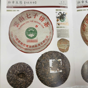 Trà Phổ Nhĩ Sống Đại Ích Ban Chương 2002 – Đại Bạch Thái...