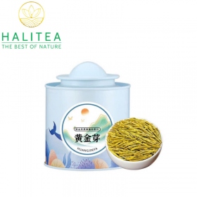 Trà Xanh Hoàng Kim Nha Chiết Giang Hộp Thiếc 100gr