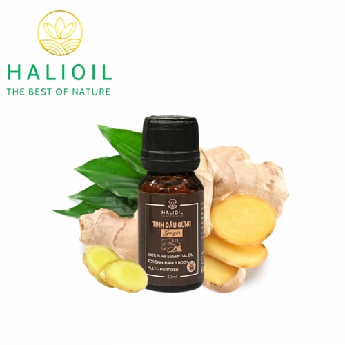 Tinh Dầu Gừng HALIOIL - Ginger Chai 10ml