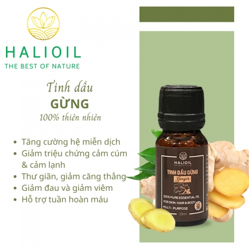 Tinh Dầu Gừng HALIOIL - Ginger Chai 10ml