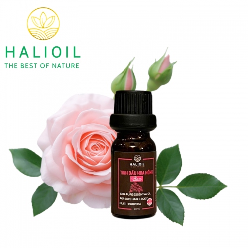 Tinh Dầu Hoa Hồng HALIOIL - Rose Chai 10ml