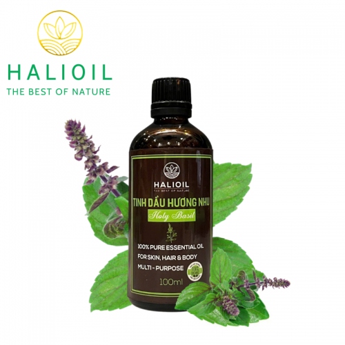 Tinh Dầu Hương Nhu HALIOIL - Holy Basil 100ml