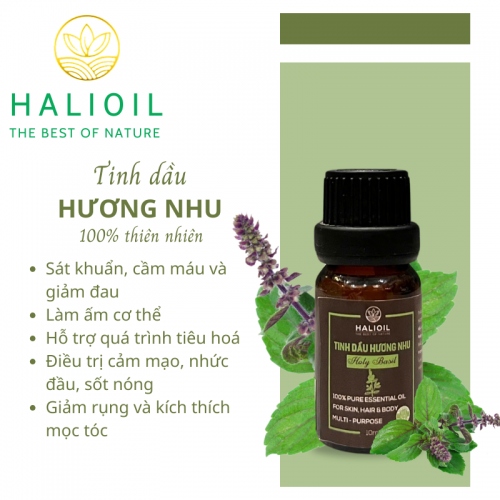 Tinh Dầu Hương Nhu HALIOIL - Holy Basil 10ml