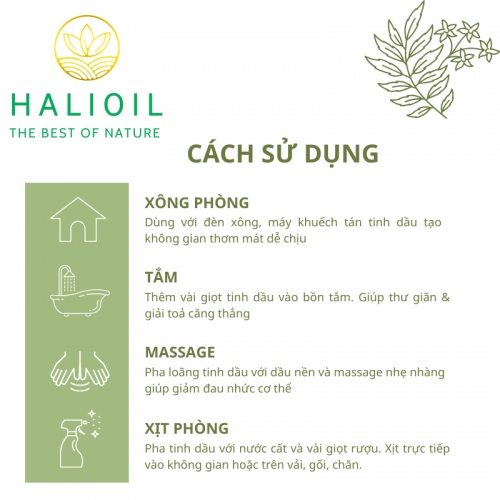 Tinh Dầu Hương Thảo HALIOIL - Rosemary Chai 10ml