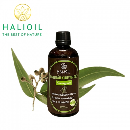 Tinh Dầu Khuynh Diệp HALIOIL - Eucalyptus Chai 100ml