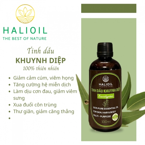 Tinh Dầu Khuynh Diệp HALIOIL - Eucalyptus Chai 100ml