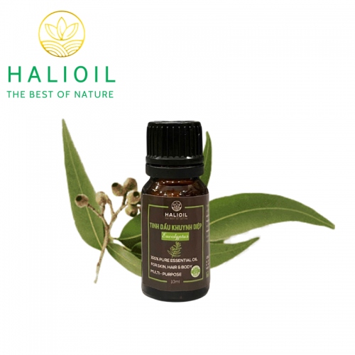 Tinh Dầu Khuynh Diệp HALIOIL - Eucalyptus Chai 10ml