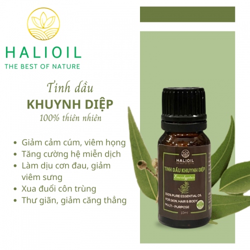 Tinh Dầu Khuynh Diệp HALIOIL - Eucalyptus Chai 10ml