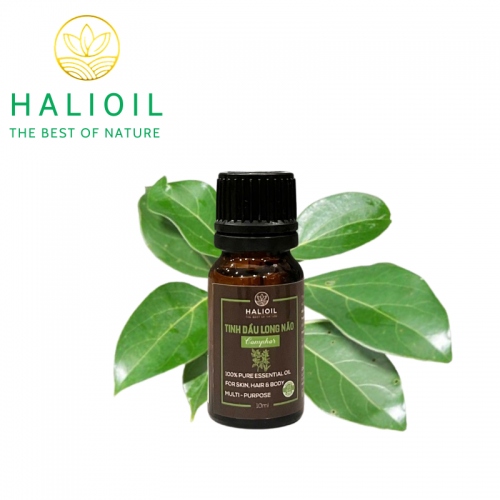 Tinh Dầu Long Não HALIOIL - Comphor Chai 10ml