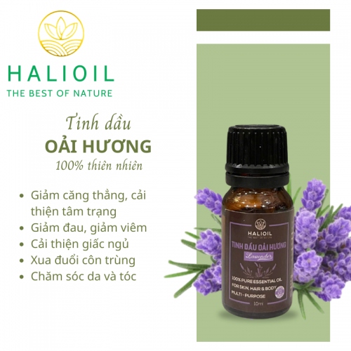 Tinh Dầu Oải Hương HALIOIL - Lavender 10ml