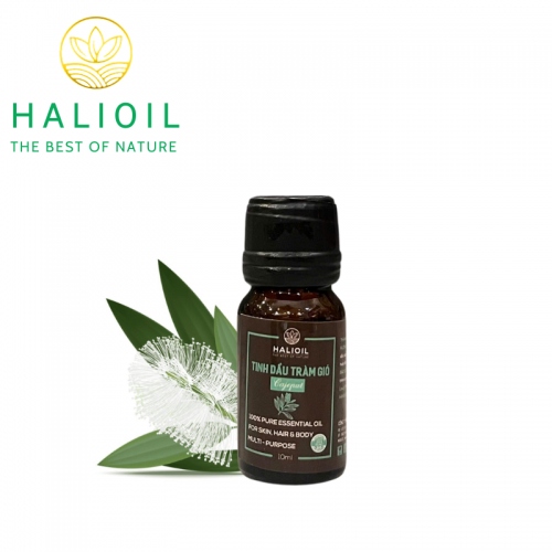 Tinh Dầu Tràm Gió HALIOIL - Cajeput Chai 10ml