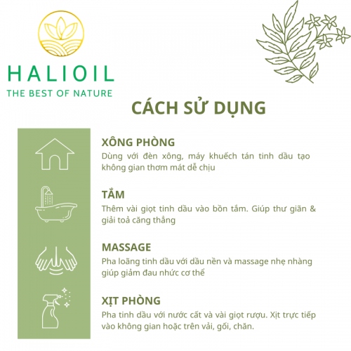 Tinh Dầu Tràm Trà HALIOIL - Tea Tree Chai 100ml