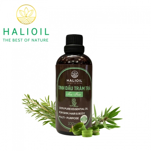Tinh Dầu Tràm Trà HALIOIL - Tea Tree Chai 100ml