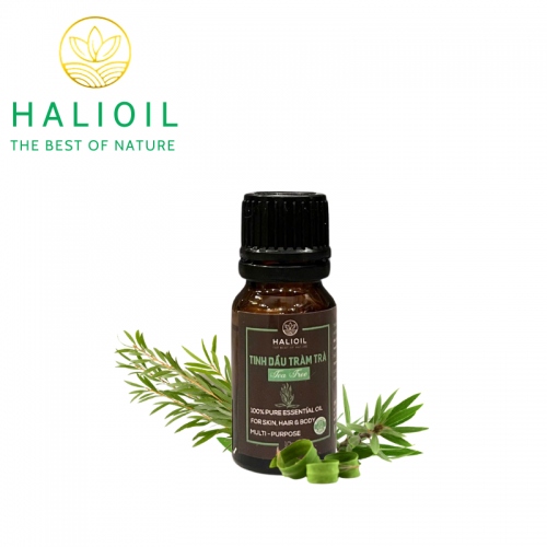 Tinh Dầu Tràm Trà HALIOIL - Tea Tree Chai 10ml