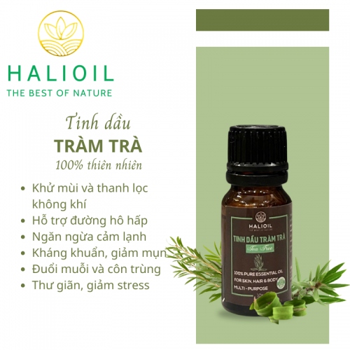 Tinh Dầu Tràm Trà HALIOIL - Tea Tree Chai 10ml