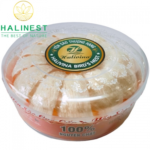Tổ Yến Rút Lông Định Hình Xuất Khẩu Hộp 100gr