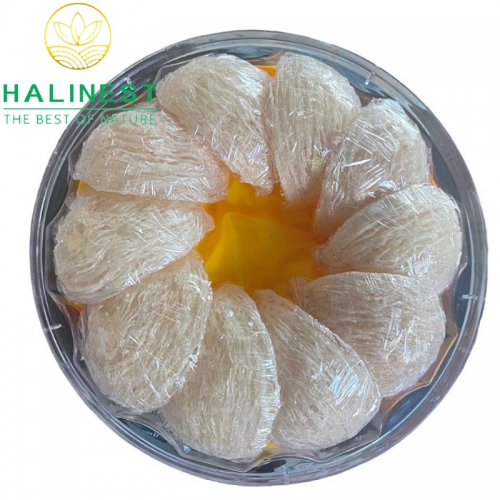 Tổ Yến Rút Lông Định Hình Xuất Khẩu Hộp 100gr