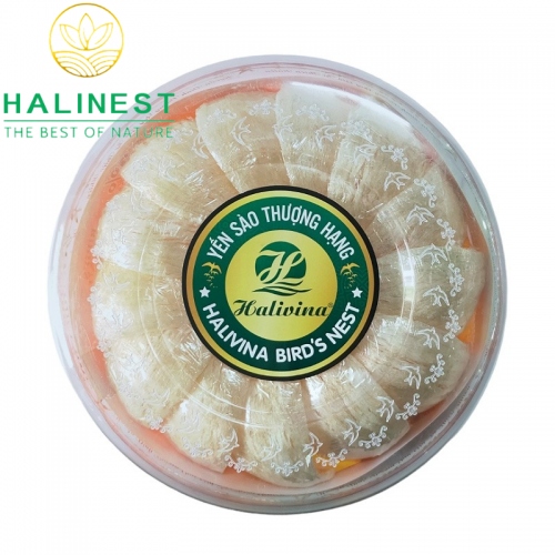 Tổ Yến Rút Lông Định Hình Xuất Khẩu Hộp Cao Cấp 100gr