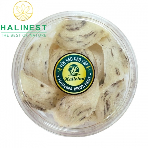 Tổ Yến Thô Nguyên Tổ Ít Lông Hộp Cao Cấp Quà Tặng 100Gr