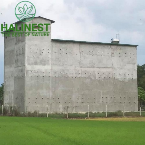 Tổ Yến Tinh Chế Sạch Lông Loại 1 Hộp Cứng Cao Cấp 100Gr