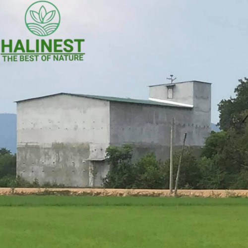 Tổ Yến Tinh Chế Sạch Lông Loại 1 Hộp Cứng Cao Cấp 100Gr