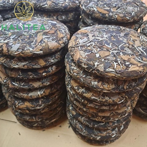Trà Bánh Bạch Mẫu Đơn Tây Côn Lĩnh Hà Giang 300gr/bánh - Hộp Thiếc Đỏ