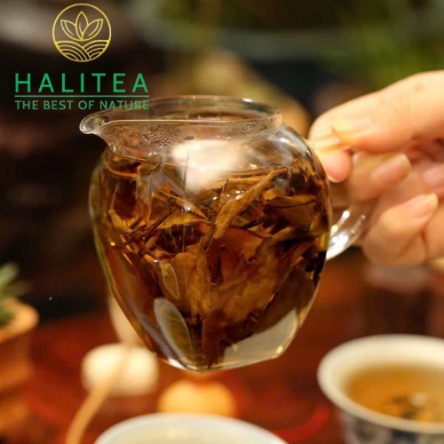 Trà Bánh Bạch Mẫu Đơn Tây Côn Lĩnh Hà Giang 300gr/bánh - Hộp Thiếc Đỏ
