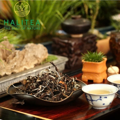 Trà Bánh Bạch Mẫu Đơn Tây Côn Lĩnh Hà Giang 300gr/bánh - Hộp Thiếc Đỏ