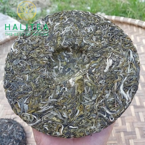Trà Bánh Shan Tuyết Cổ Thụ Tây Côn Lĩnh 357Gr (Trà Sống - Sinh Trà)
