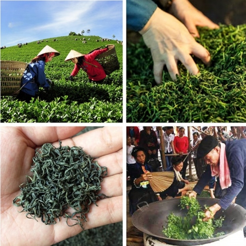 Trà Bát Tiên Tân Cương Thái Nguyên Lon Xanh100g