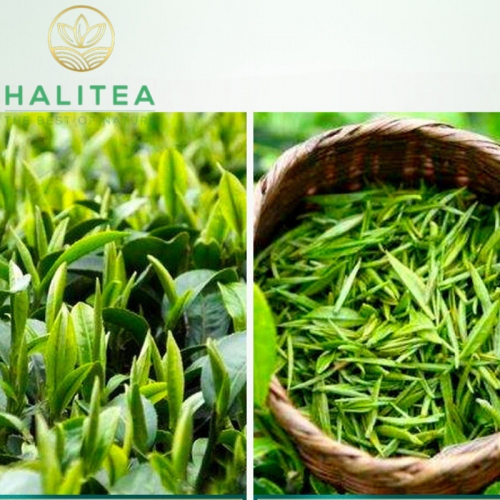 Trà Bích Loa Xuân Cao Cấp Lon Nhỏ 10Gr
