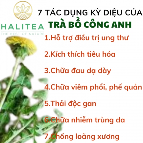Trà Bồ Công Anh Hũ Pet 40gr