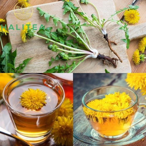Trà Bồ Công Anh Hũ Pet 40gr
