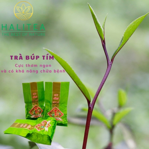 Trà Búp Tím Thái Nguyên Đặc Biệt Hộp Kiếng Gói 10gr
