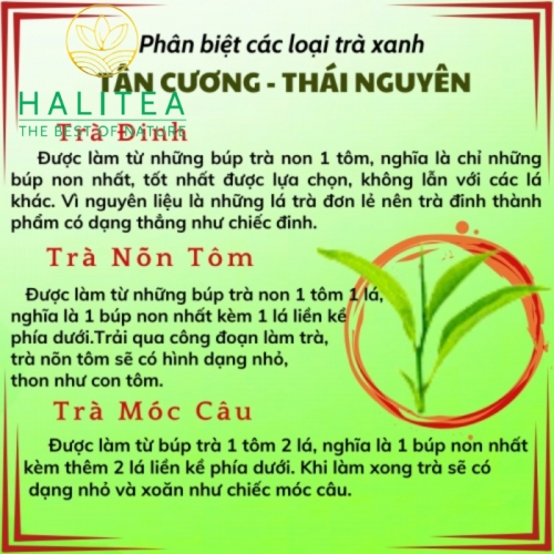Trà Búp Tím Thái Nguyên Đặc Biệt Hộp Kiếng Gói 10gr
