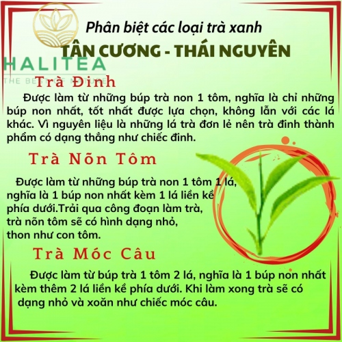 Trà Cành Lai Tân Cương Thái Nguyên Lon Giấy 100gr