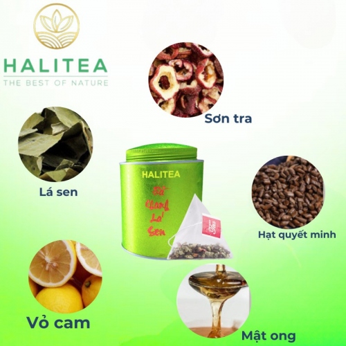 Trà Chanh Lá Sen HALITEA Túi Tam Giác Hộp Thiếc 250g/ hộp/ 50 gói