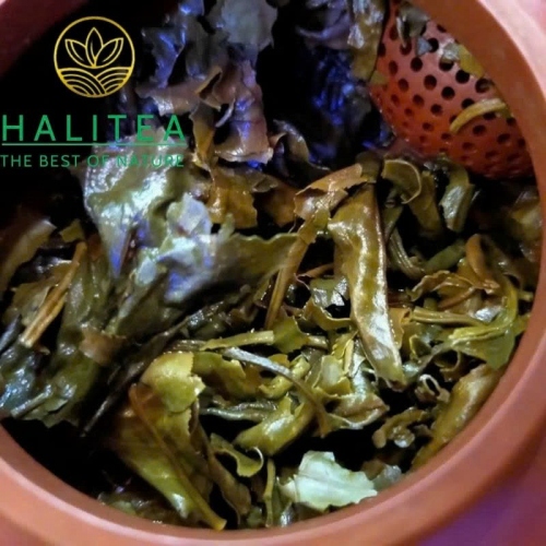 Trà Chít (Trà Bó) Bản Bẹ Tà Xùa - Hộp Giấy Kraft HALITEA