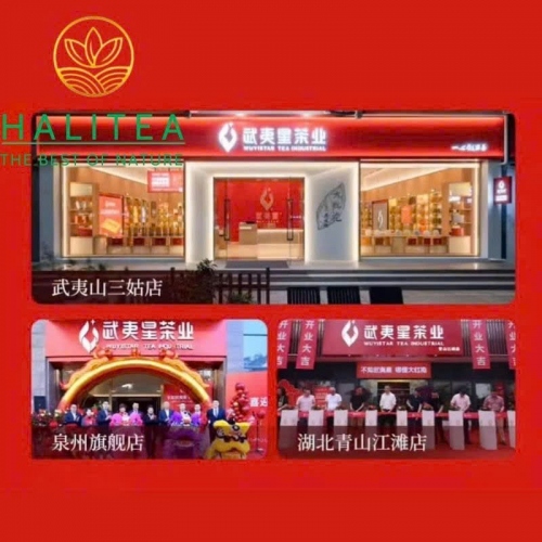 Trà Đại Hồng Bào Wuyi Star Nhất Phàm Phong Thuận 300g – Nham Trà Vũ Di Đặc Cấp