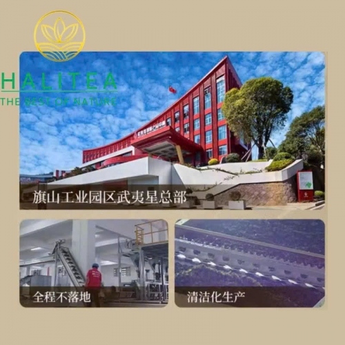 Trà Đại Hồng Bào Wuyi Star Nhất Phàm Phong Thuận 300g – Nham Trà Vũ Di Đặc Cấp