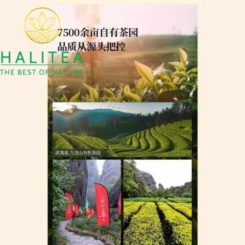 Trà Đại Hồng Bào Wuyi Star Nhất Phàm Phong Thuận 300g – Nham Trà Vũ Di Đặc Cấp