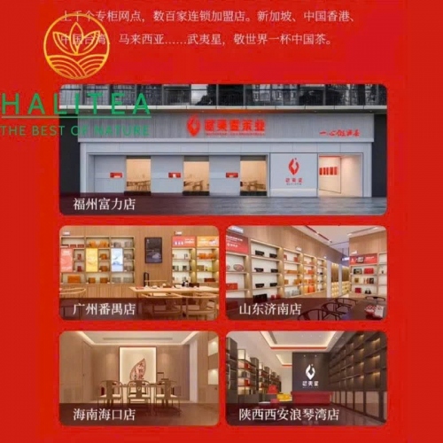 Trà Đại Hồng Bào Wuyi Star Nhất Phàm Phong Thuận 300g – Nham Trà Vũ Di Đặc Cấp