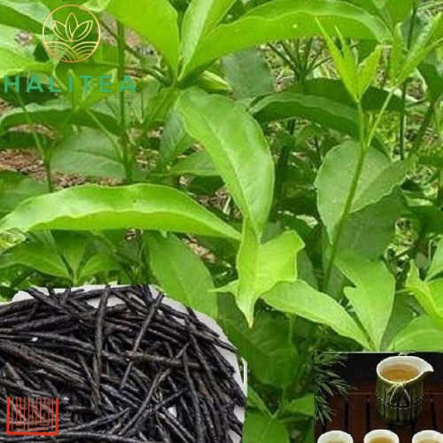 Trà Đắng Hũ Pet 50gr