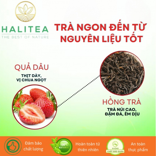 Trà Đen Dâu Tây HALITEA Túi Tam Giác Hộp Thiếc 30gr/ hộp/10 túi