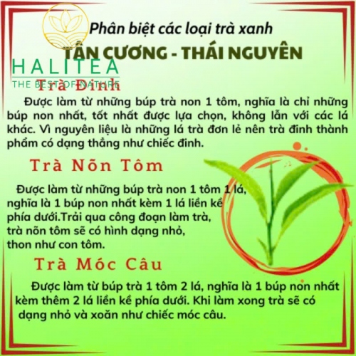Trà Đinh Tân Cương Thái Nguyên Thượng Hạng Hộp Kiếng Gói 10gr