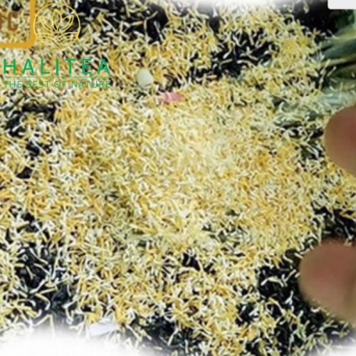 Trà Đinh Ướp Gạo Sen Bách Diệp Cao Cấp Gói 10gr