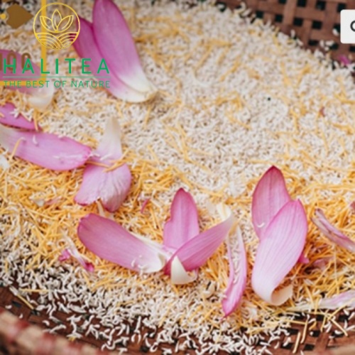 Trà Đinh Ướp Gạo Sen Bách Diệp Cao Cấp Gói 10gr