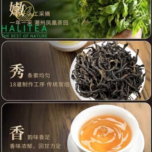Trà Đơn Tùng Phượng Hoàng Triều Châu - Hộp Quà Tặng 250gr